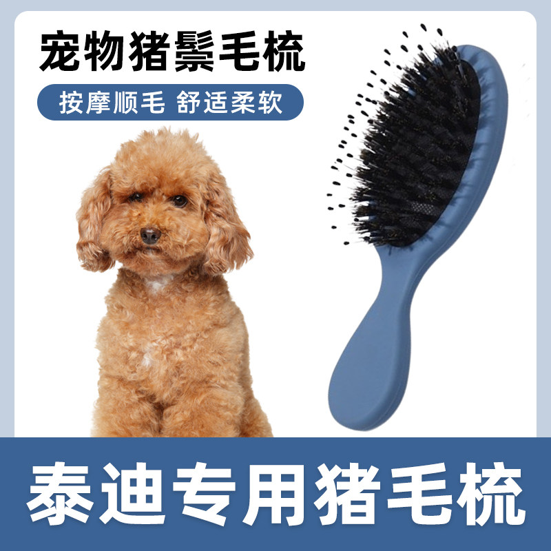 泰迪专用猪鬃毛刷狗毛清理器狗狗梳子去浮毛祛毛脱毛开结刷毛
