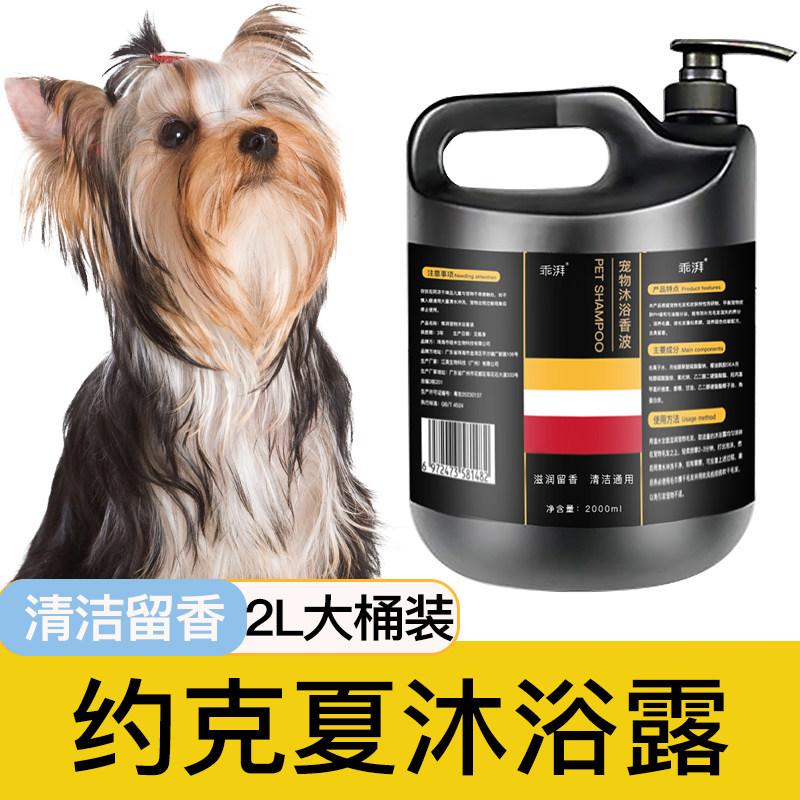 约克夏专用沐浴露柔顺清洁留香宠物洗澡大桶香波浴液狗狗用品,宠物/宠物食品及用品,狗香波浴液,淘宝优惠券,粉丝福利购,淘宝优惠卷