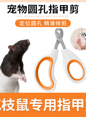 花枝鼠专用指甲剪套装指甲剪指甲刀修剪指甲钳磨甲器仓鼠小宠用品