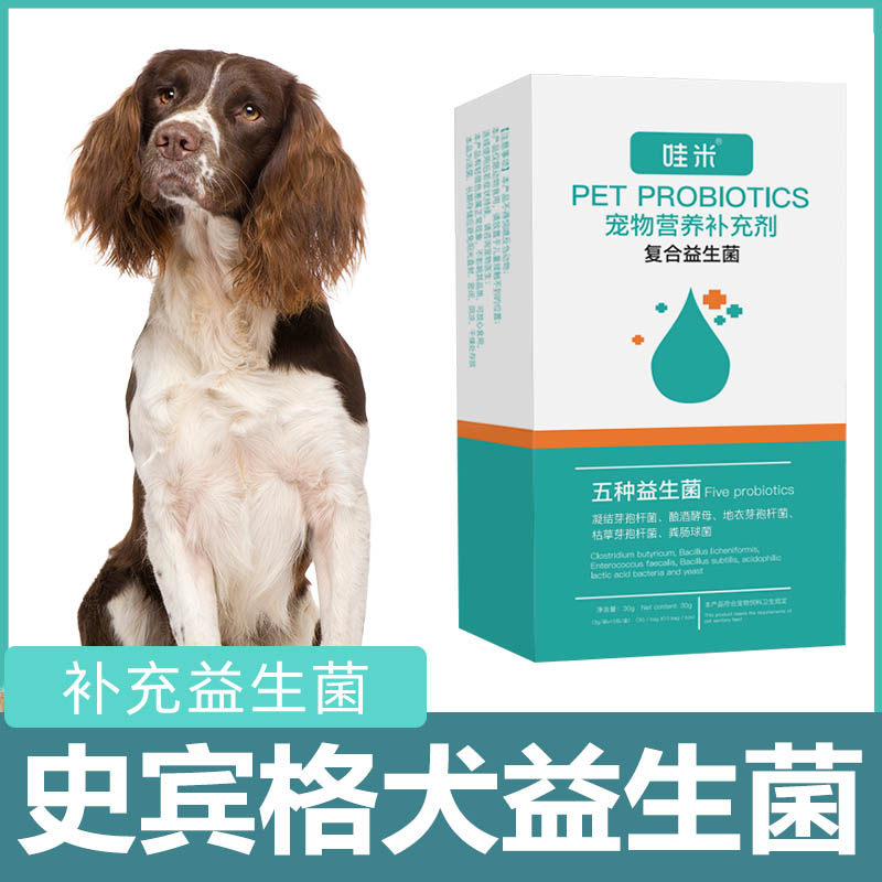 史宾格犬用益生菌粉宠物犬用小幼犬成犬肠道活性菌狗狗益生元