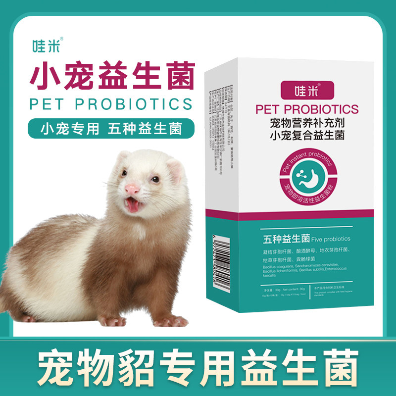 宠物貂专用益生菌粉肠胃宝安格鲁貂雪貂吃的益生菌消化宝小宠用品,宠物/宠物食品及用品,鼠类零食,淘宝优惠券,粉丝福利购,淘宝优惠卷