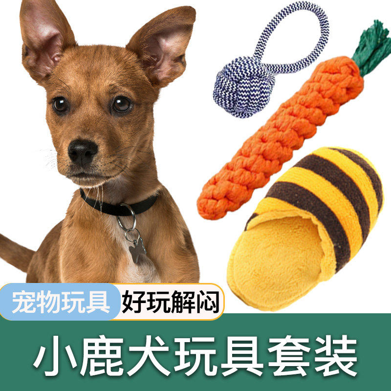 小鹿犬专用玩具套装耐咬发声宠物狗磨牙玩具小型犬解闷幼犬用品