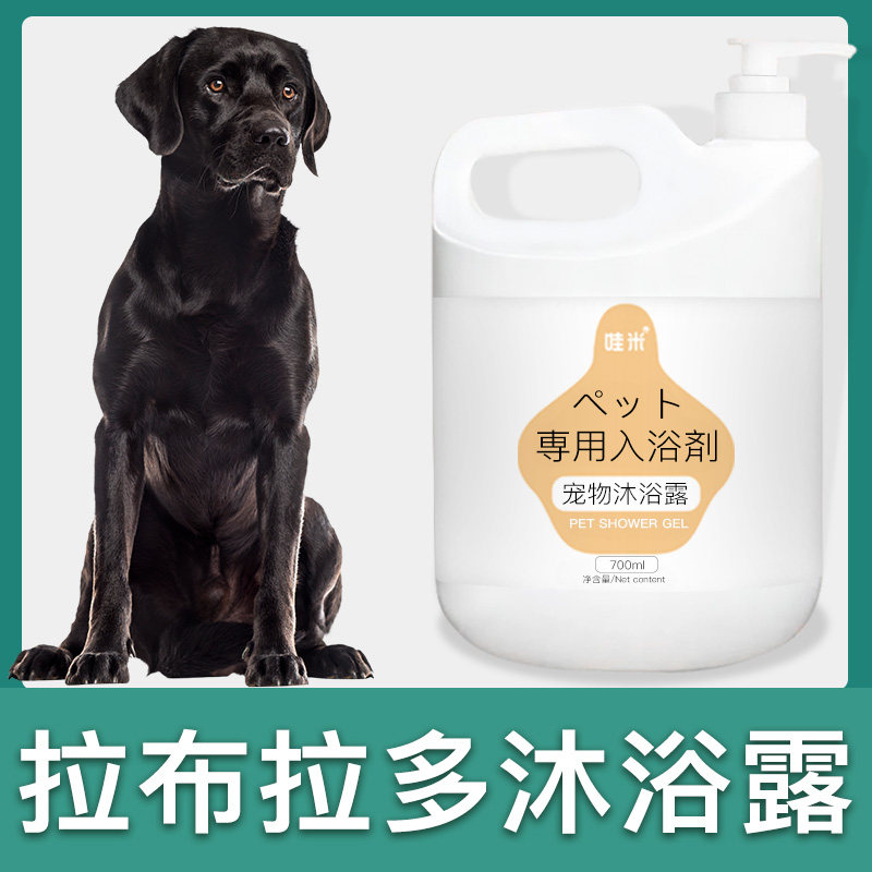 拉布拉多专用大桶沐浴露