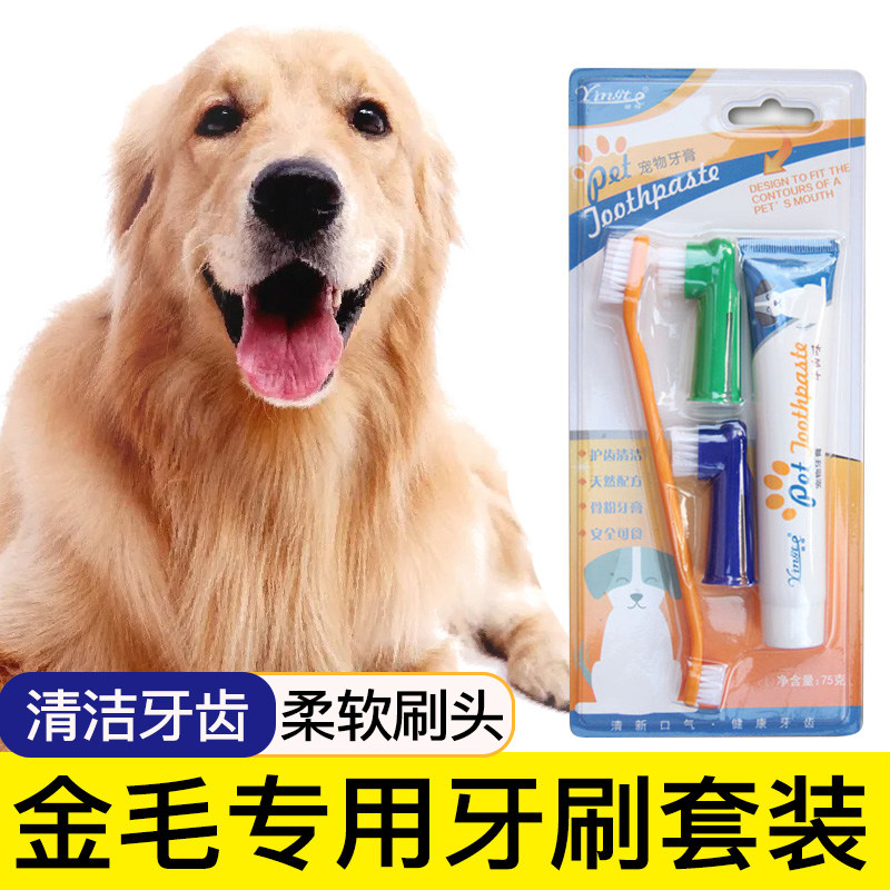 金毛专用牙刷宠物牙膏指套刷牙牙用具牙齿清洁用品指套