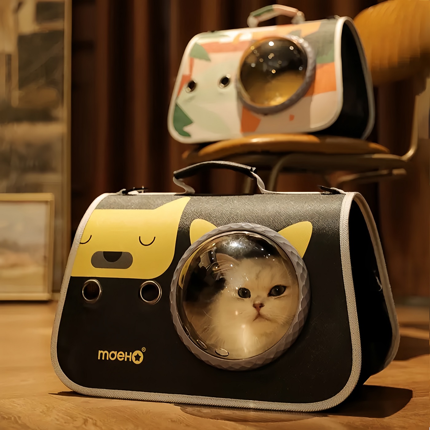 四季狂拽！猫狗出行炸街神器