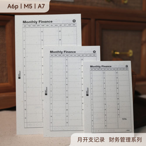 M5A7A6p月度财务记录活页替芯