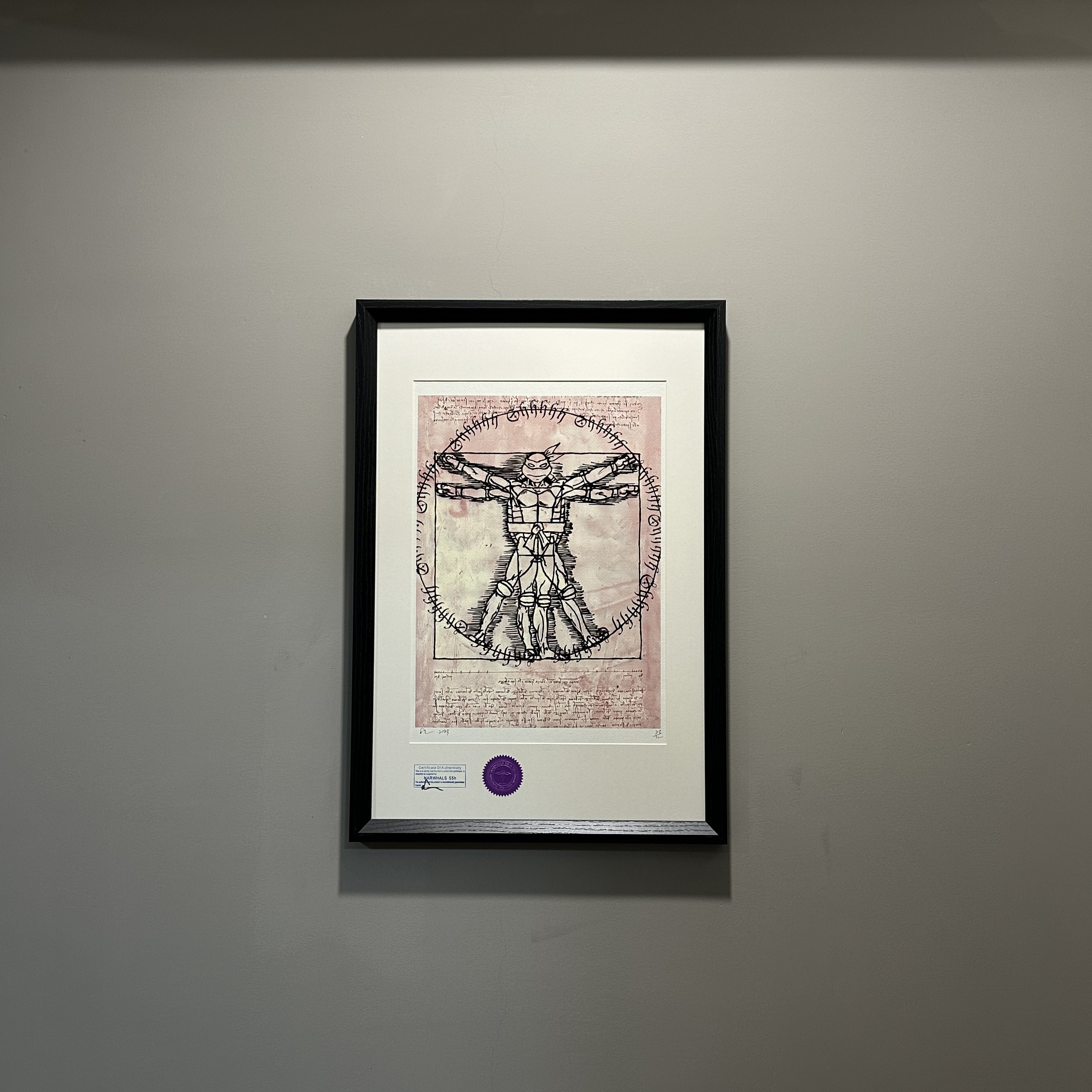 S5h正品限量版画达芬奇密码《维特鲁威人》&忍者神龟挂画装饰画