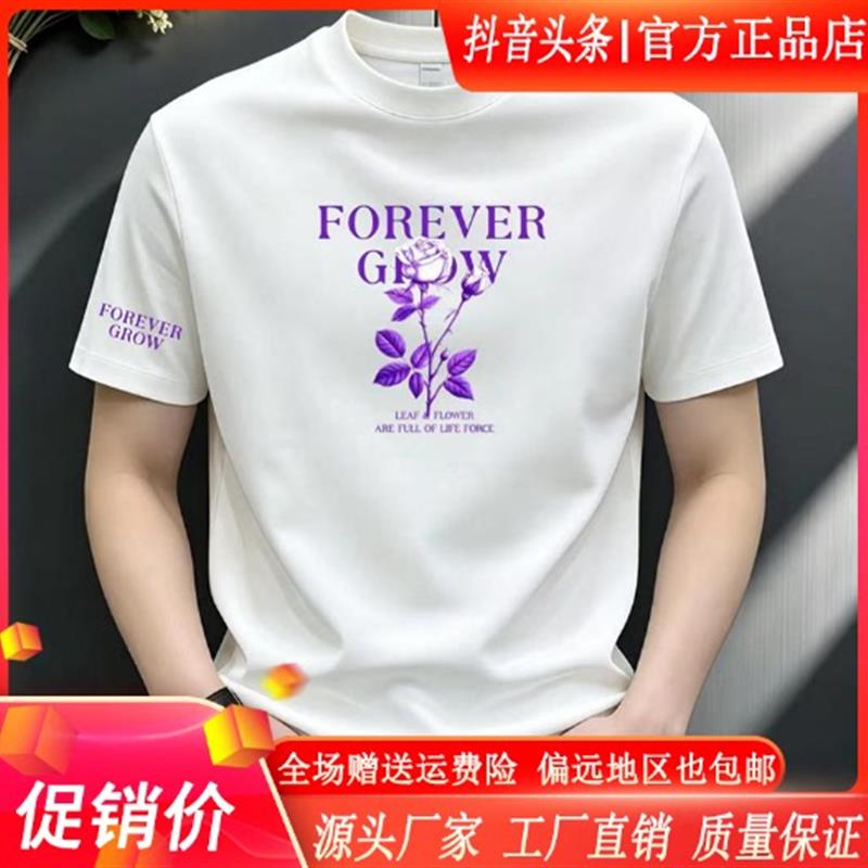 澜阙服饰男装Amphelisia潮牌T恤重磅弹力短袖高级设计感凉感上衣