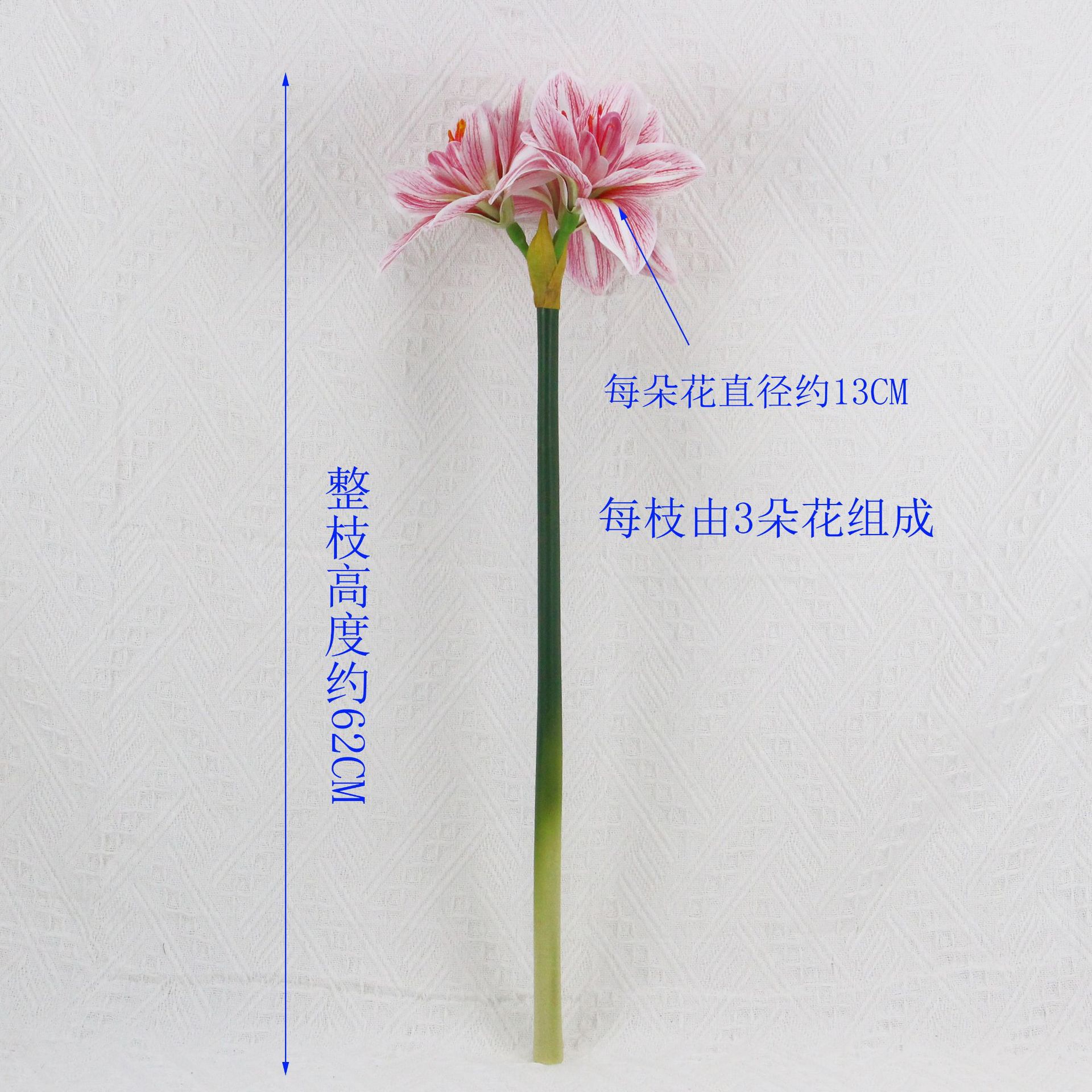 高档PU软胶君子兰朱顶红