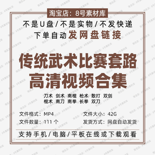 武术比赛套路视频合集分解动作刀术棍术剑术枪术长拳散打