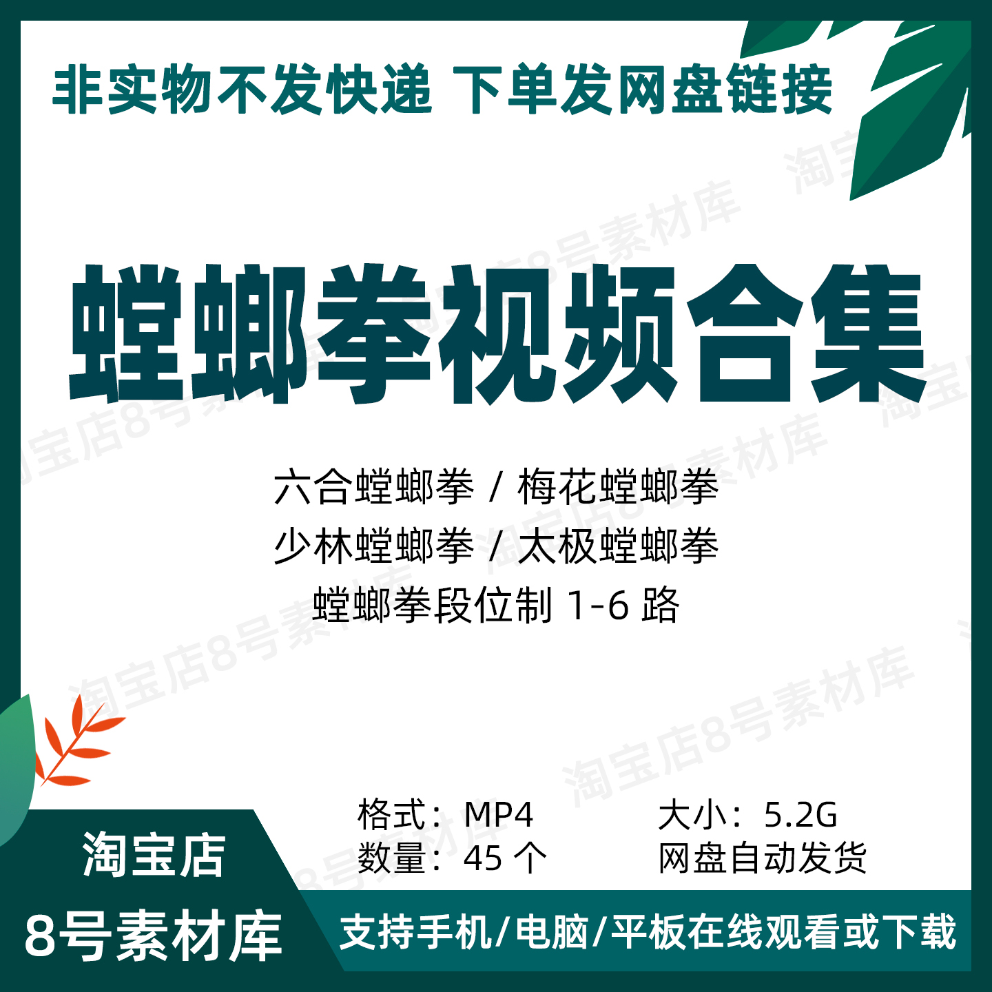 螳螂拳视频合集传统武术六合 梅花 少林 太极螳螂拳 段位制1-6路