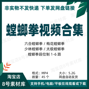 螳螂拳视频合集传统武术六合 梅花 少林 太极螳螂拳 段位制1-6路