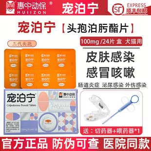 宠泊宁头孢泊肟酯片宠物猫狗狗皮肤病感冒皮炎泌尿消炎药惠中动保