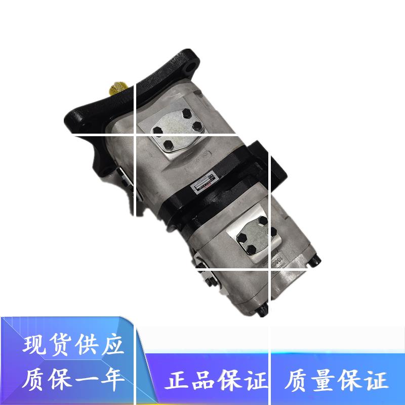 不二越IPH-56B-50-125-11/64-80-11/100-11/125-11/双联齿轮现货