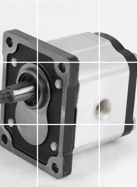 长江齿轮泵CBTs-F306/F308/F310/F312/F314/F316/320液压油泵现货