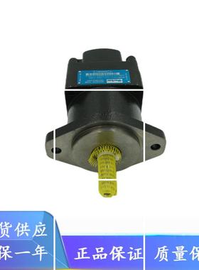 丹尼逊DENISON高速叶片马达M4C-055-3N00-A102 M4C-063-3N03-现货