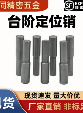 MSFW台阶定位销 圆柱销BLY01 BLY21-D5 6 8 10 13-L15 20 25 30