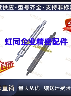 带退刀槽导向轴VRFM RSAFM VPSAFM PSSAFM PSSFMU VAFM SAFM SFMU