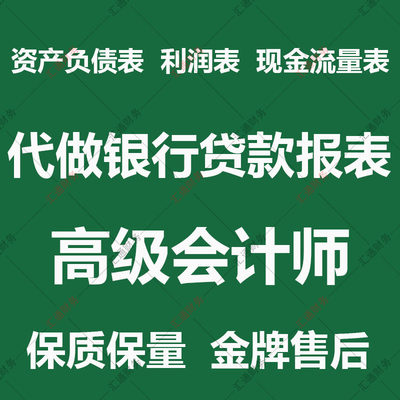 财务报表资产负债表损益表现金流量表银行贷款招投标个体户代做