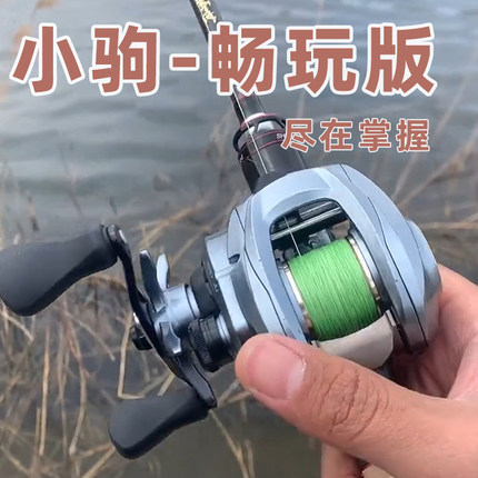 盛河小驹畅玩版马口微物水滴轮超轻量微抛防炸线路亚轮鱼线轮渔轮