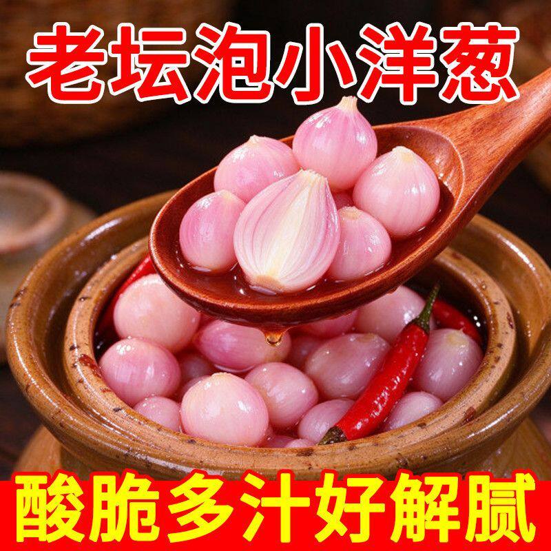 正宗四川老坛泡菜珍珠小洋葱酸辣爽口下饭菜日期新鲜清爽开胃腌菜