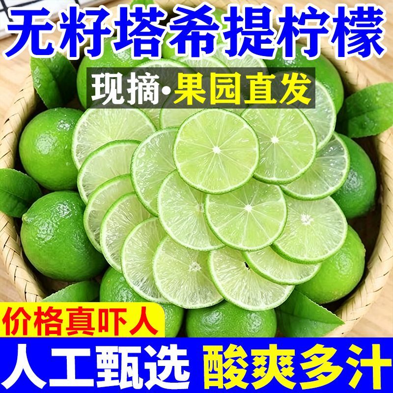 【批发价】正宗塔希提无籽青柠檬薄皮新鲜柠檬酸爽饮品新鲜小青柠