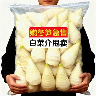 火锅煲汤食材 新鲜冬笋野生竹笋清水水煮冬笋袋装 新店冲量