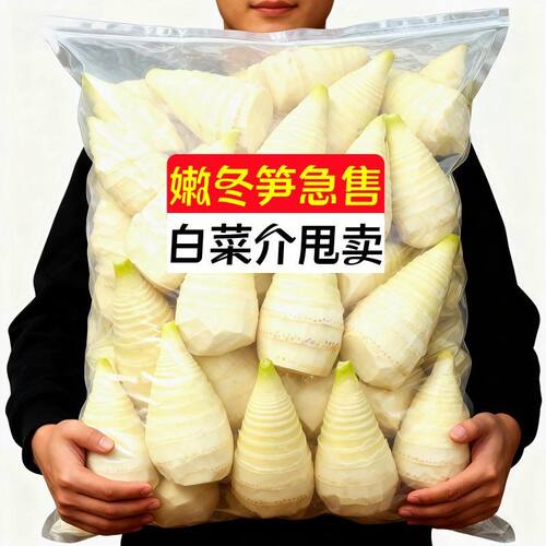 【新店冲量】新鲜冬笋野生竹笋清水水煮冬笋袋装火锅煲汤食材