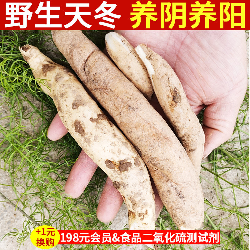 天门冬中药500g现挖秦岭野生中药材天冬泡酒新鲜打粉去皮天冬草药