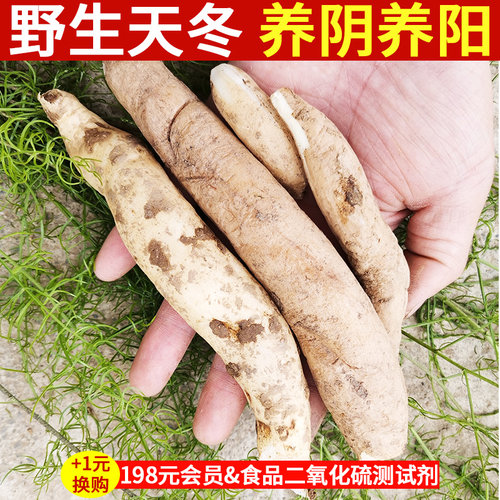 野生天门冬去皮养阴养阳