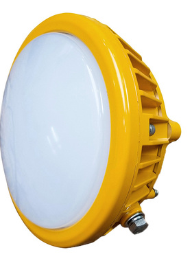 尚为（SEVA）SZSW8162-24 AC220V 24W IP67 防爆LED灯 盏 黄色