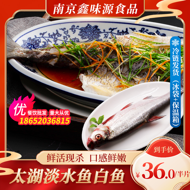 功夫白鱼新鲜腌制白丝鱼700g整条翘嘴鱼酒店半成品菜清蒸鱼年货