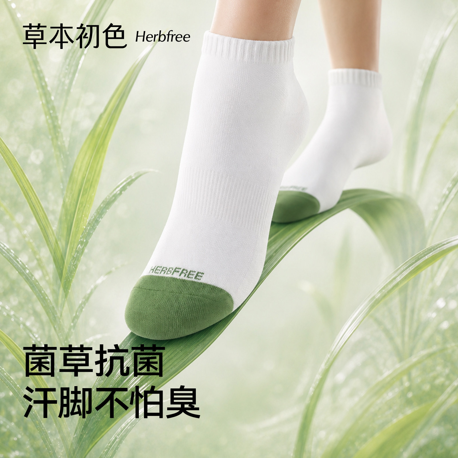 草本初色男女款袜子菌草抗菌2026年新款抗起球吸汗透气撞色消臭袜 - 实物图
