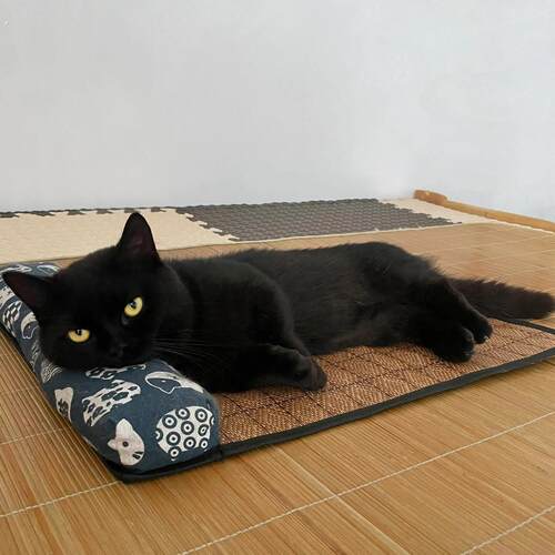 夏季藤编宠物凉席垫物理降温猫垫子布偶猫窝冰垫法斗狗垫子枕头