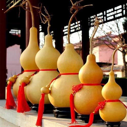 发财葫芦树七个天然葫芦手捻文玩手把件大葫芦摆件家居饰品
