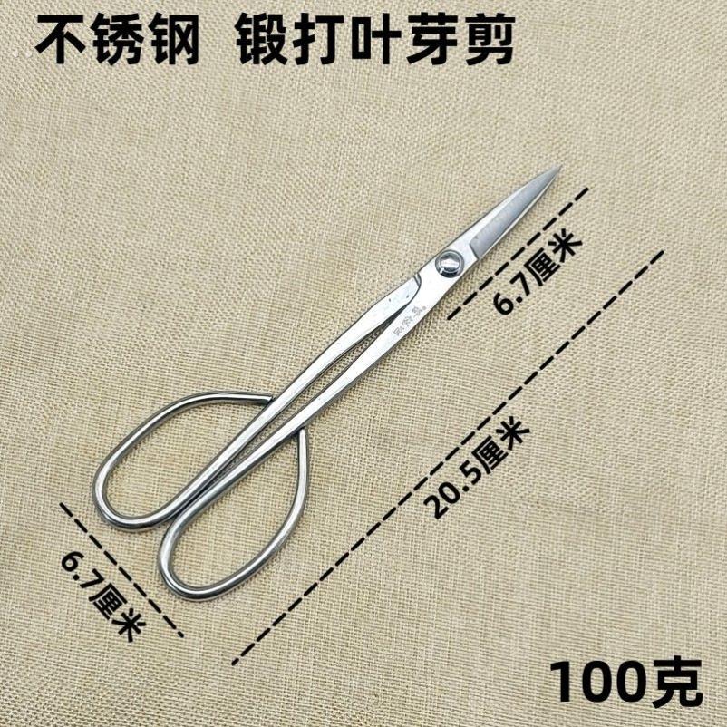 加厚叶芽剪刀全不锈钢园艺剪嫩芽修枝小枝切剪盆景长杆剪刀