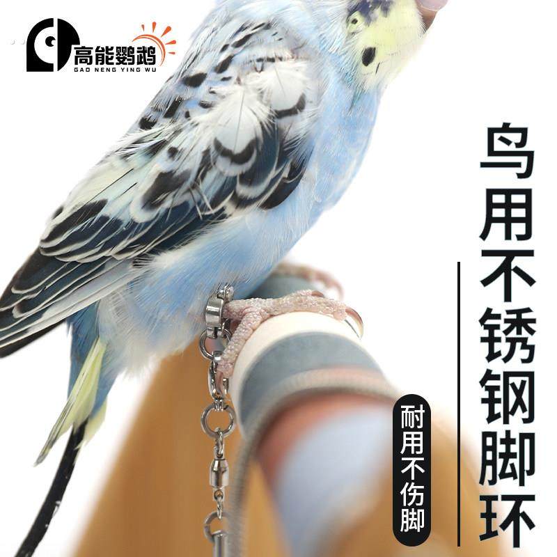 鹦鹉不锈钢脚链脚环鸟类宠物玄凤鹦鹉专用脚环活扣不伤脚放飞链子,宠物/宠物食品及用品,鸟禽其他,淘宝优惠券,粉丝福利购,淘宝优惠卷