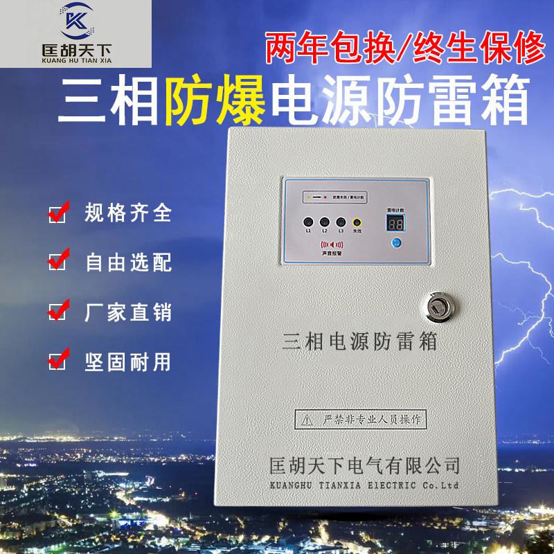 一级三相电源防雷箱220V避雷器电梯机房二级三级加油站专用带计数