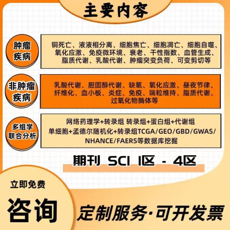 DFT计算 第一性原理计算 高斯 VASP MS CP2K 模拟计算 DFT代算
