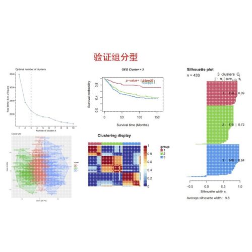 CancerSubtypes肿瘤分型生信套路(GSVA基因集/生物信息学GO/KEGG)