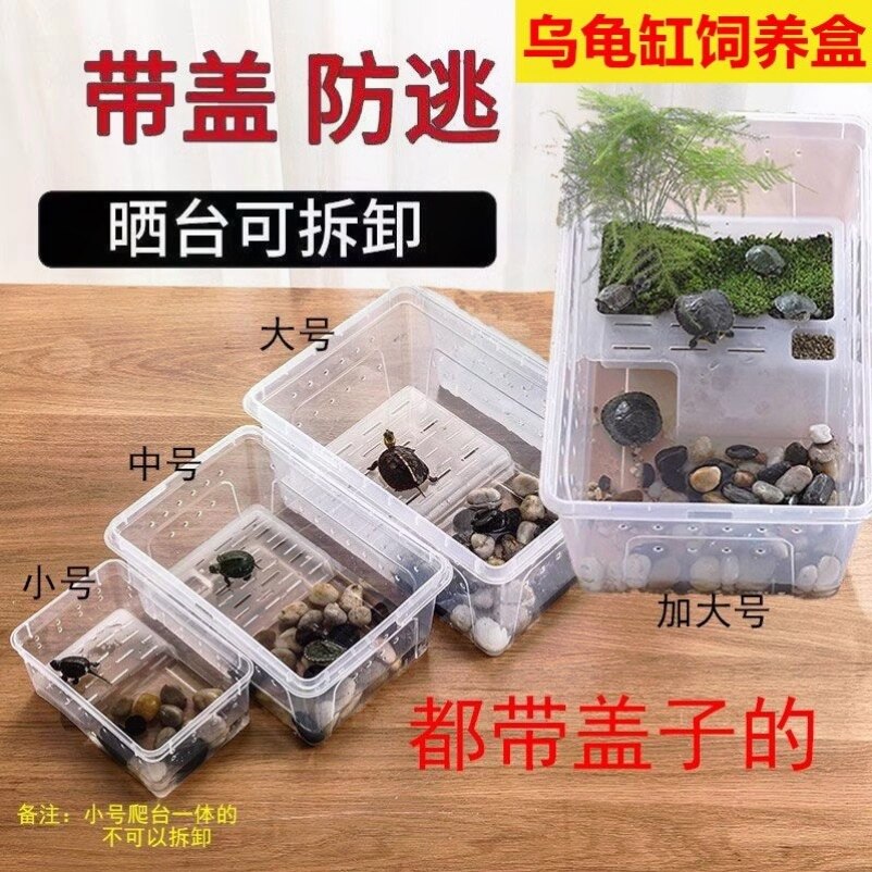 爬宠饲养盒两栖箱小乌龟缸守宫角蛙盒带晒台塑料乌龟盒角蛙饲养箱