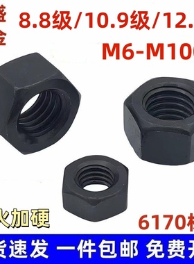 8.8/10.9/12.9级高强度六角螺帽螺丝帽螺母M6M8M10M12M16m20M100