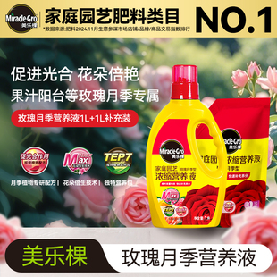 美乐棵玫瑰月季专用营养液专用养花盆栽植物