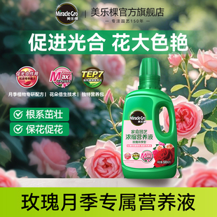 美乐棵月季花营养液专用肥料果汁阳台棒棒糖藤本天荷繁星盆栽爬藤