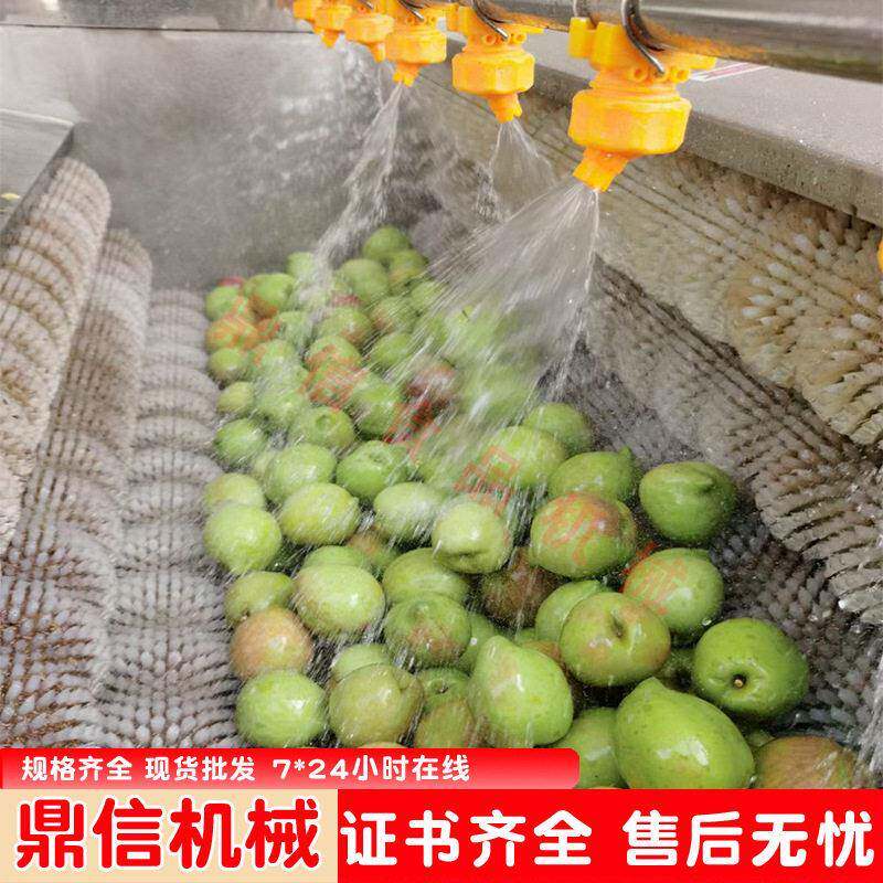 毛辊翻滚清洗机 毛辊蛤蜊清洗机 毛刷根茎去皮清洗机 喷淋清洗机