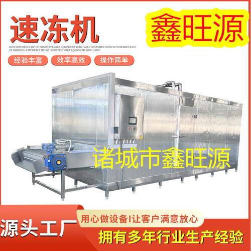 鑫旺源 全自动隧道式豌豆豆角低温速冻机 菜心控温速冻设备