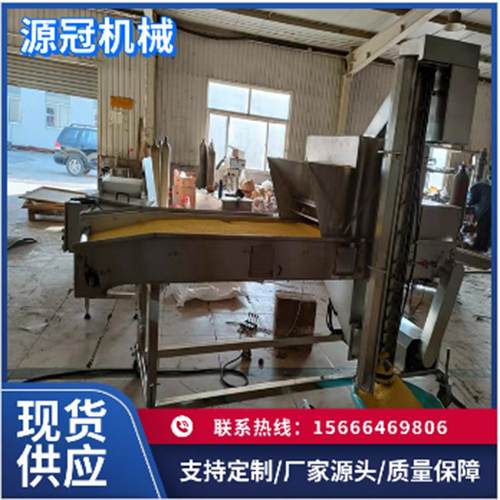 鸡米花裹粉机 连续式鸡柳粘粉机 全自动鱼块裹糠设备 厂家
