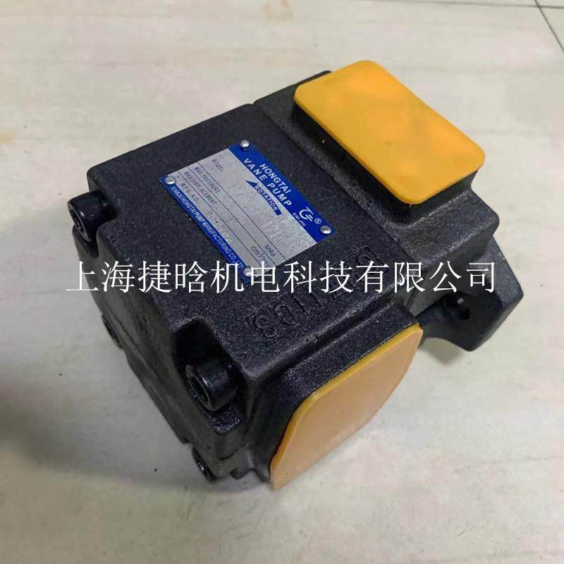 VANE PUMP 定量叶片泵 PV2R1 PV2R2 PV2R3 液压油泵