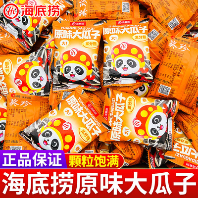海底捞原味大瓜子同款小零食