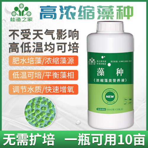 鱼塘肥水高浓缩复合藻种